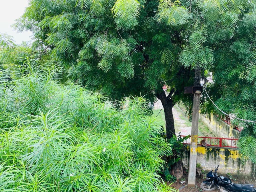 Shree Balaji Homestay Ayodhya Extérieur photo